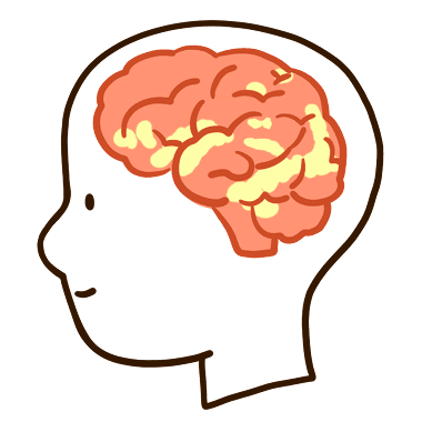활성화된 뇌 사진
