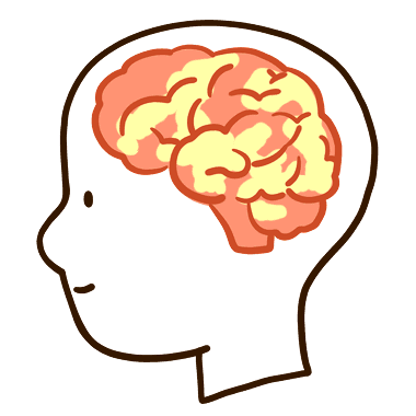 활발하게 활성화된 뇌 사진